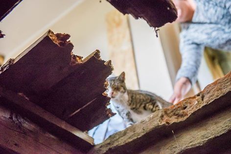 zniszczony budynek fundacji